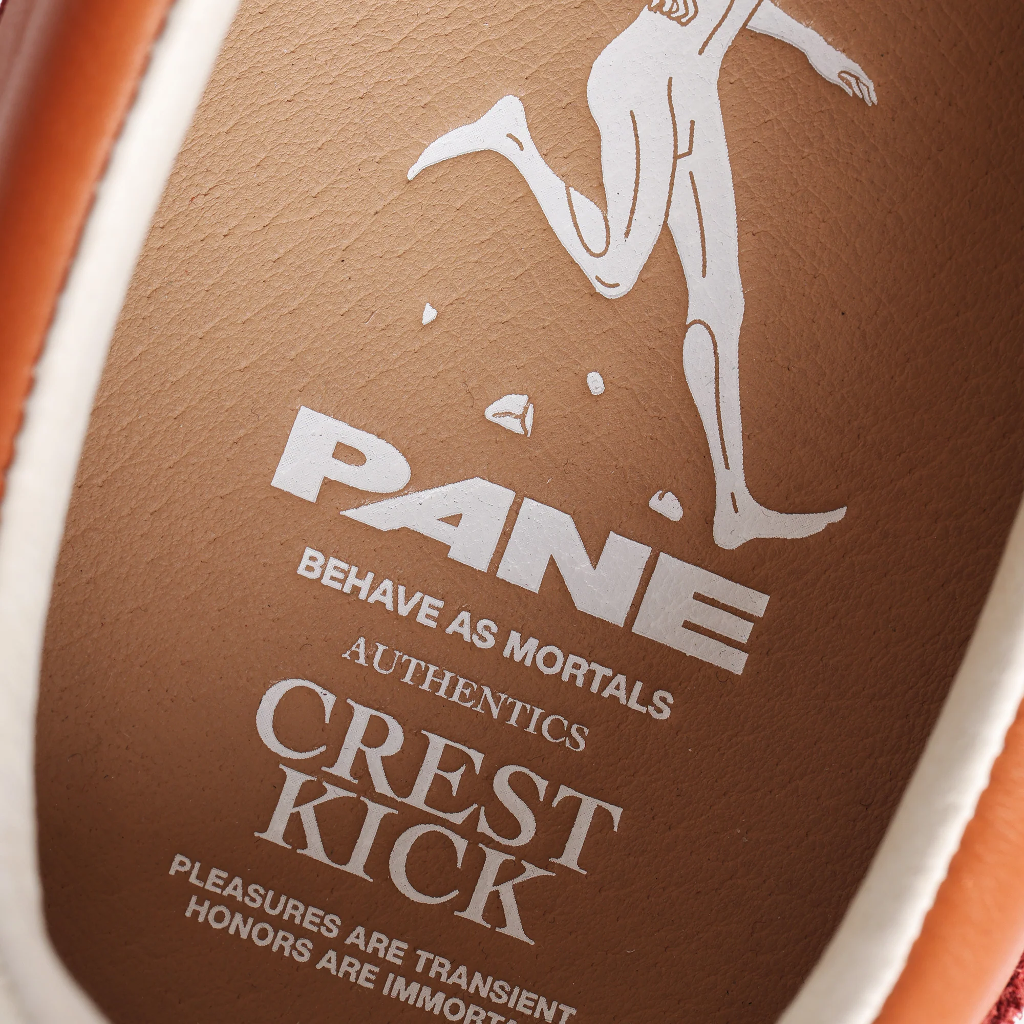 Pane Crest Kick Men’s Shoes – Ridge - Image 7