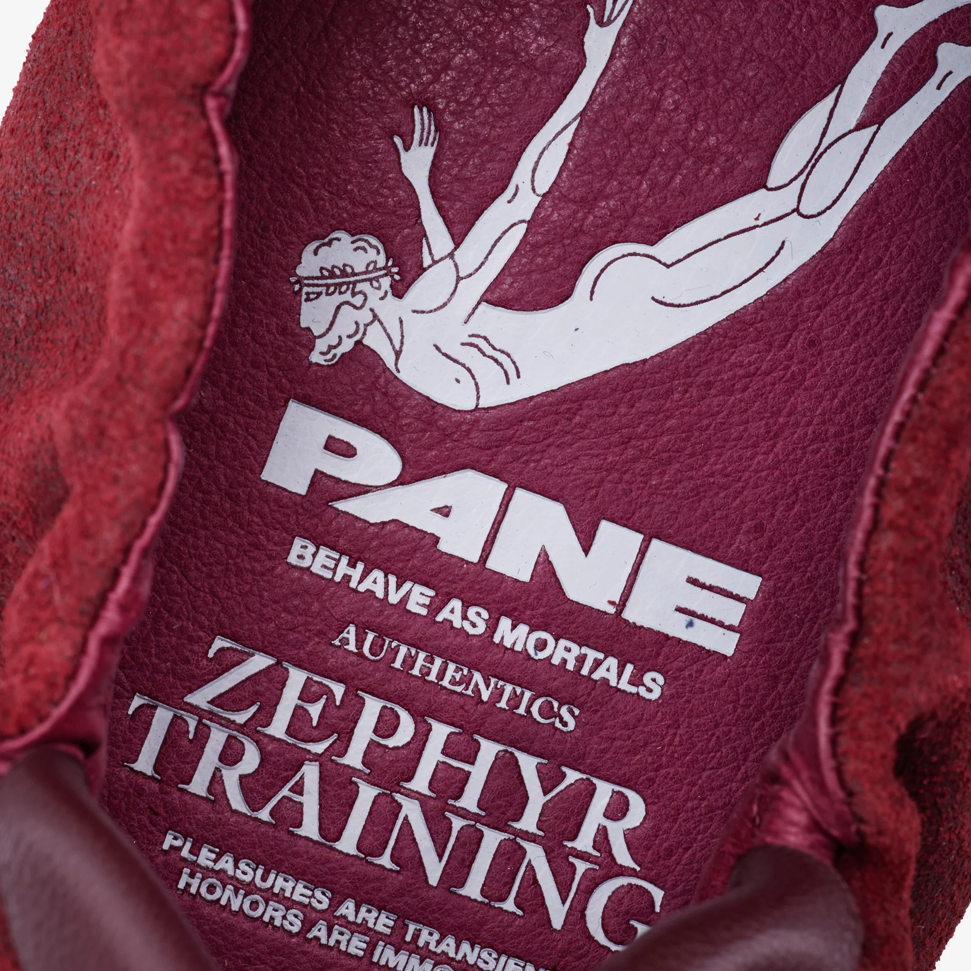 Pane Zephyr Training Pouching Men’s Shoes – Maroon - Image 7